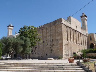 فلسطين 