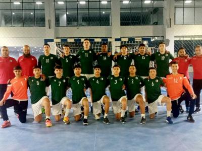Equipe nationale de handball U17