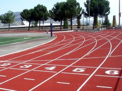 ألعاب القوى لذوي الاحتياجات الخاصة