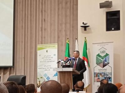 الوكالة الجزائرية لترقية الإستثمار