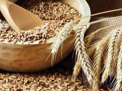 إعادة تنظيم عملية توزيع الأعلاف المدعمة على المربين إعادة تنظيم عملية توزيع الأعلاف المدعمة على المربين