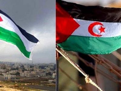 إشادة بموقف الجزائر الداعم للقضيتين العادلتين الفلسطينية والصحراوية 