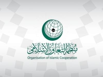 منظمة التعاون الإسلامي : الجزائر تدين الاعتداءات المتواصلة للكيان الصهيوني ضد الشعب الفلسطيني