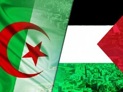 الجزائر فلسطين 
