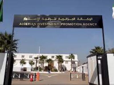 الوكالة الجزائرية لترقية الاستثمار تسجل أزيد من 3700 مشروع استثماري بنهاية سبتمبر الوكالة الجزائرية لترقية الاستثمار تسجل أزيد من 3700 مشروع استثماري بنهاية سبتمبر