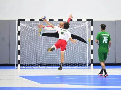 Equipe nationale de handball