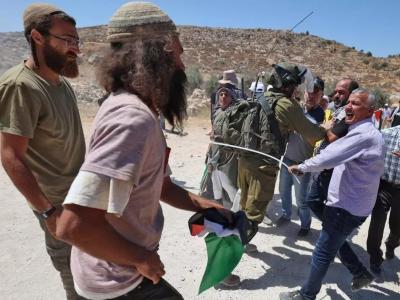 Des colons sionistes attaquent des maisons de Palestiniens