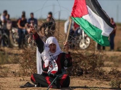 فلسطين