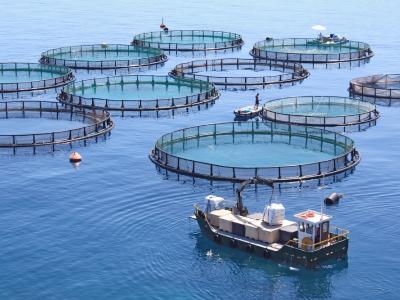 Aquaculture