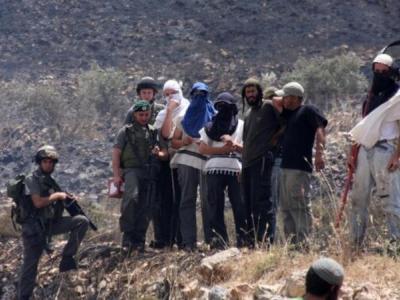 فلسطين: مخطط صهيوني جديد للاستيلاء على 104 دونمات من أراضي قلقيلية بالضفة الغربية