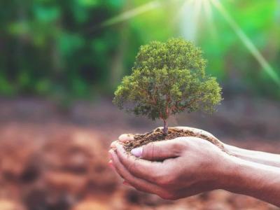 Concours national du journalisme environnemental
