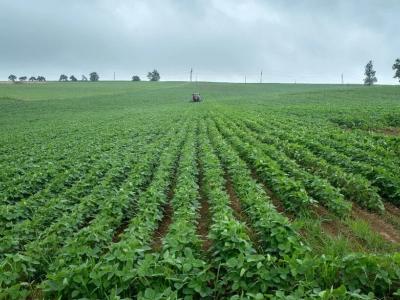 Foncier agricole