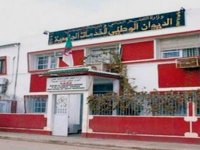 الديوان الوطني للخدمات الجامعية 