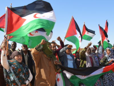 الصحراء الغربية الصحراء الغربية