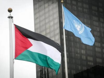 طلب عضوية فلسطين في الأمم المتحدة 