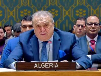 algerie-palestine-onu.jpg