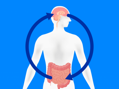 دراسة حديثة تربط بين صحة الأمعاء والتوتر