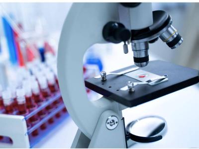تطوير تقنيات ذكاء اصطناعي لتحديد مستويات الكريات البيضاء في الدم بدقة عالية 