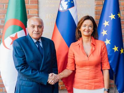 Algérie-Slovénie : approfondir les relations bilatérales et travailler ensemble sur les questions internationales