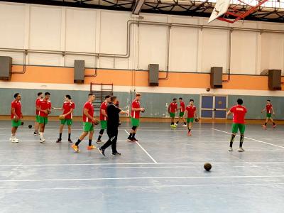 Equipe nationale de handball des U21