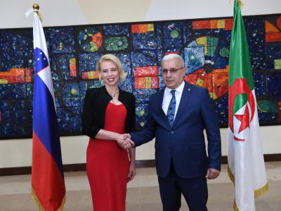 M. Boughali reçoit la présidente de l'Assemblée nationale de la République de Slovénie