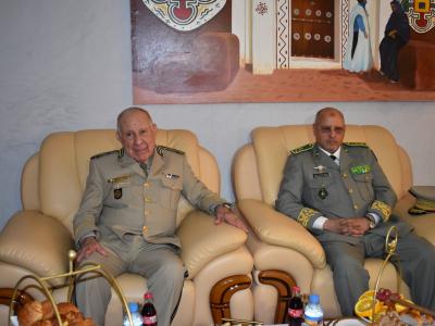 شنغريحة موريتانيا
