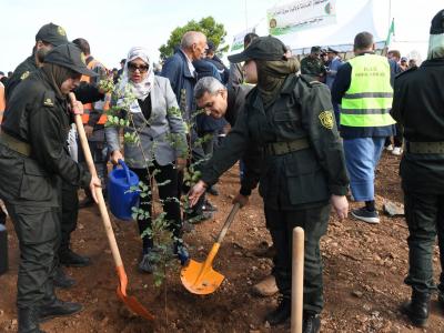 Plusieurs activités organisées à travers le territoire national à l'occasion de la journée nationale de l'arbre