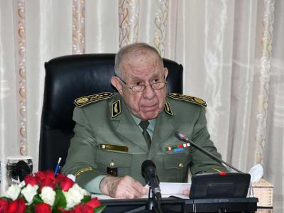 شنغريحة في موريتانيا 