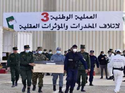 عملية وطنية لإتلاف وحرق كمية معتبرة من مخدرات بوادي سلي بولاية الشلف
