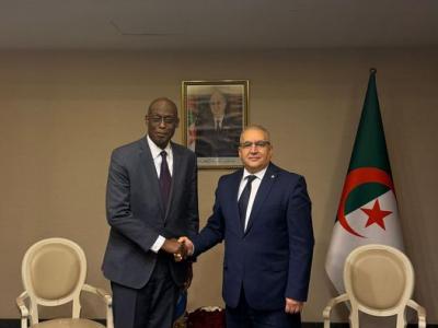 دبلوماسية / تعاون