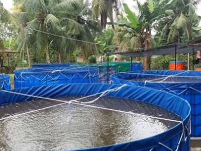 Aquaculture