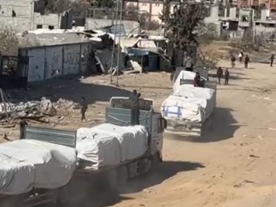 المساعدات الانسانية إلى غزة 