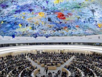Conseil des droits de l'homme des Nations unies