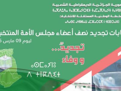 انتخابات التجديد النصفي لأعضاء مجلس الأمة