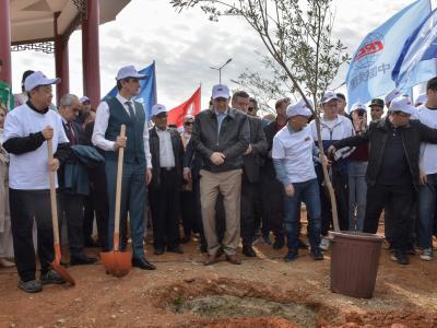 Algérie-Chine : plantation de 500 oliviers à Alger pour renforcer l'amitié 