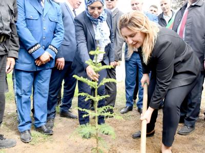 Journée internationale des forêts : Djilali lance une campagne de reboisement à Sidi Abdallah 