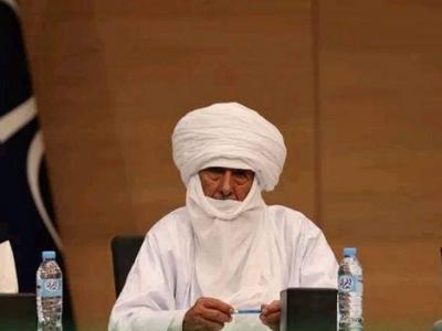 amenokal_nahaggar_et_tamesna-ammad_mustapha.jpg