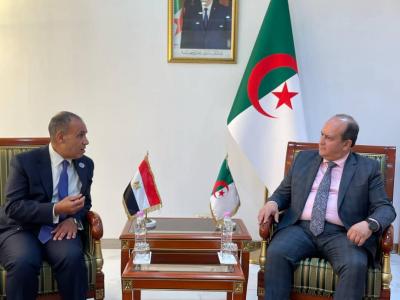 سبل تعزيز الشراكة الصناعية