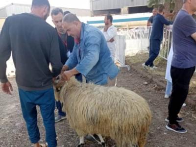 عيد الأضحى