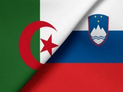 Algérie Slovénie