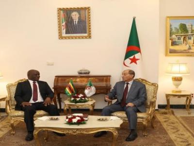 عمر بلحاج
