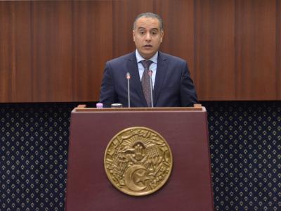 apn_walid-sadi.jpg