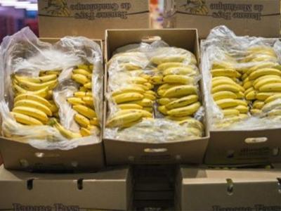 importations-bananes.jpg