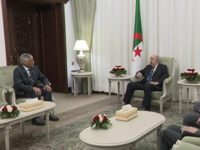 تبون