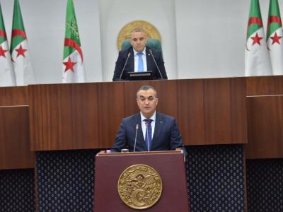 سيد علي زروقي 
