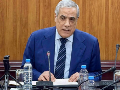 الوزير الأول يترأس الدورة الـ195 لمجلس مساهمات الدولة
