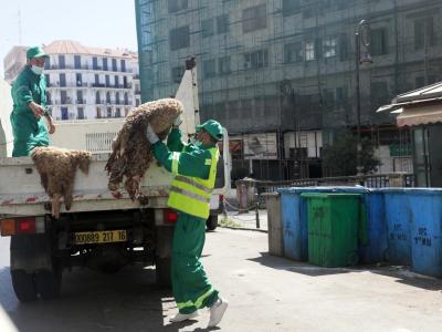 peaux_de_moutons.04.06.2025