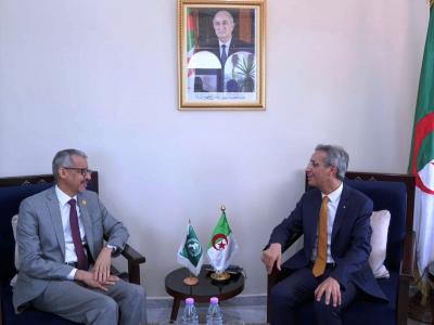 وزير الثقافة والفنون يتباحث مع المدير العام لـ"الألكسو" آفاق التعاون الثقافي المشترك