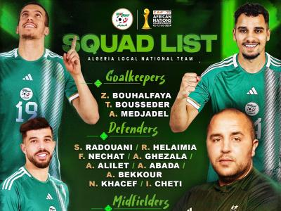 المنتخب الوطني المحلي 