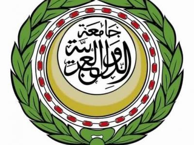 جامعة عربية 
